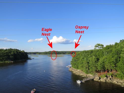 Sasanoa River from the bridge