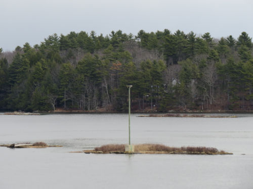 the osprey platform where the eagles nest